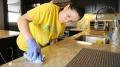Green Apple Cleaning Services Inc.