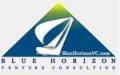 Blue Horizon Venture Consulting