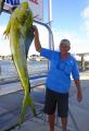 Blue Safari Sportfishing