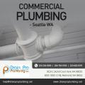 Drain Pro Plumbing Inc