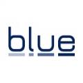 Blue Interactive Agency