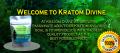 Kratom Divine