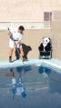 Panda Bear Pool Care