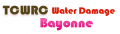 TCWRC Water Damage Bayonne