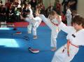 Professional Taekwondo - Anti Bullying Programs