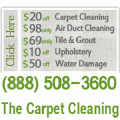 The Carpet Cleaning