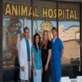 Bell Animal & Bird Hospital
