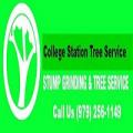 College Station Tree Service