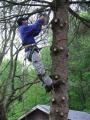 Tree Care in Bucks