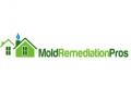 Mold Remediation Pros