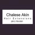 Chalese Akin Racoon Extensions