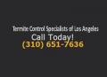 Termite Control Specialists of Los Angeles