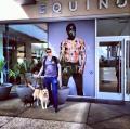 Westside Dogs LA