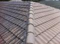 No Pressure Roof Cleaning