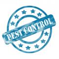 Best Pest Control of Tustin
