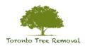 Toronto Tree Removal