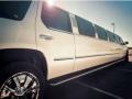 Springfield Luxury Limo