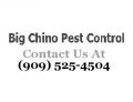 Big Chino Pest Control