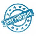 First Choice Pest Control of Cerritos