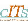 Concord IT Solutions