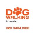 Dog Walking London