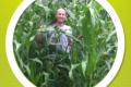 Green Acres Cover Crops
