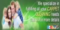 Paradise Carpet Cleaning Experts