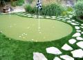 Water Wise Grass Artificial Turf