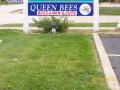 Queen Bee's Buzz & Mens Cuts