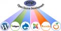 Hire PHP Programmer