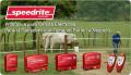 Speedrite Energizers