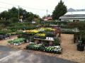 Roxbury Farm and Garden Center