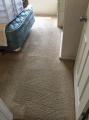 Organic Dry Carpet Cleaning