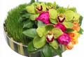 Blooming Flowers