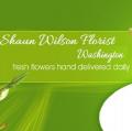 Shaun Wilson Florist Washington