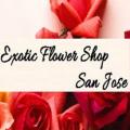 Exotic Flower Shop San Jose