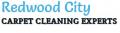 Redwood City Carpet Cleaning Experts