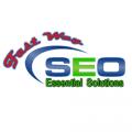 Fast Way Seo Services