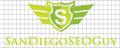 San Diego SEO Guy