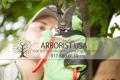 Arborist USA