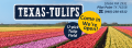 Texas-Tulips, LLC