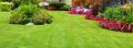 Lawn Pros Inc