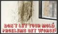 Mold Remediation Pros – Indianapolis