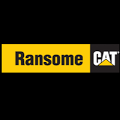 Ransome Cat - Hammonton, NJ