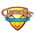 Camelot Pressure Washing, Inc.