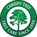 Canopy Tree Services Southern Highlands