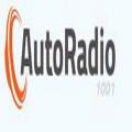 Autoradio 1001