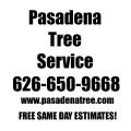 Pasadena Tree Services