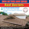 Peru's Roof Doctors