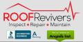 Roof Revivers Atlanta